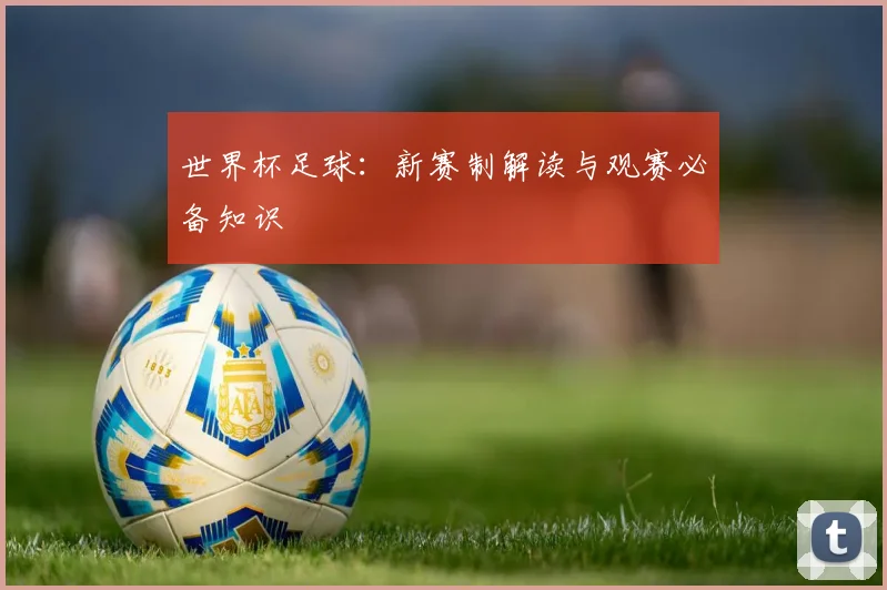 世界杯足球:新赛制解读与观赛必备知识