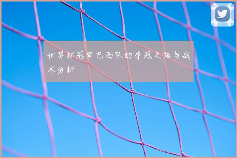 世界杯冠军巴西队的夺冠之路与战术分析