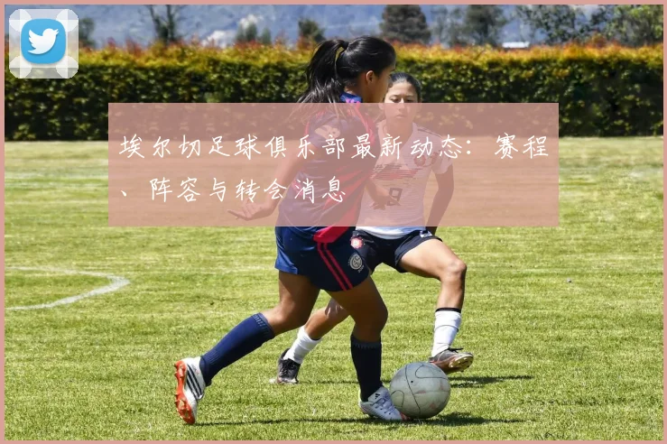 埃尔切足球俱乐部最新动态:赛程、阵容与转会消息